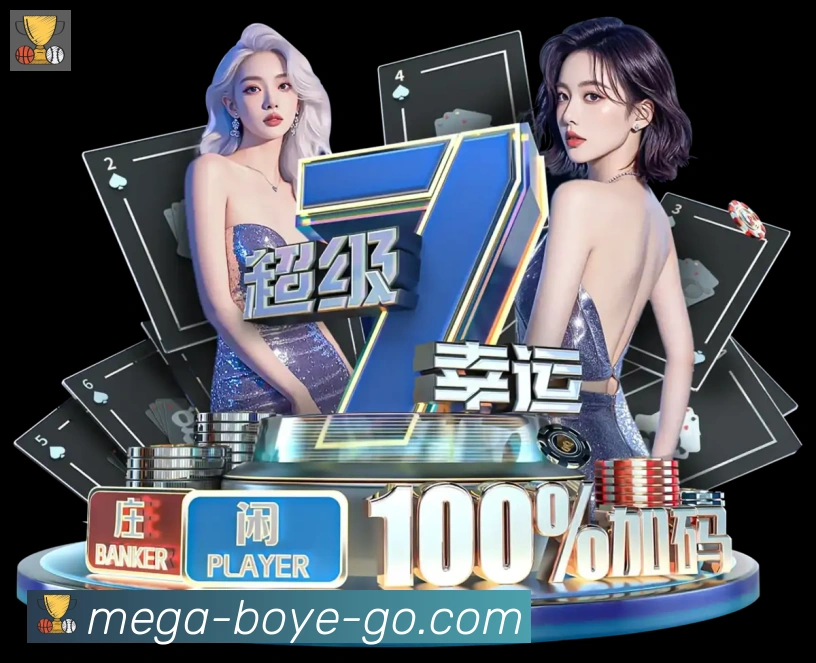 未来规划